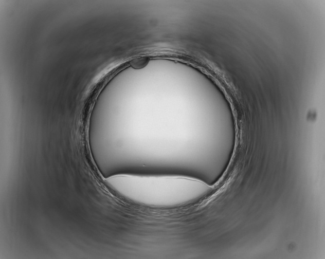 X0000100351453200806060749