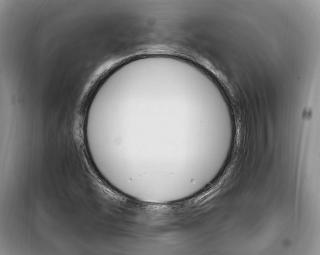 X0000100351454200806060749