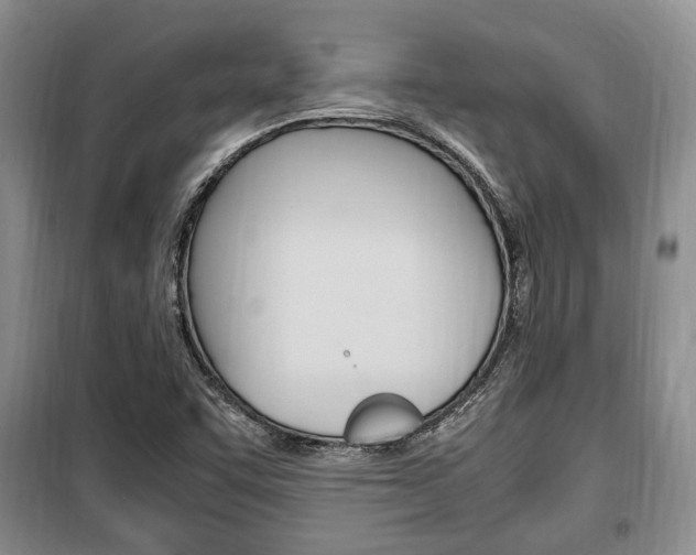 X0000100351455200806060749