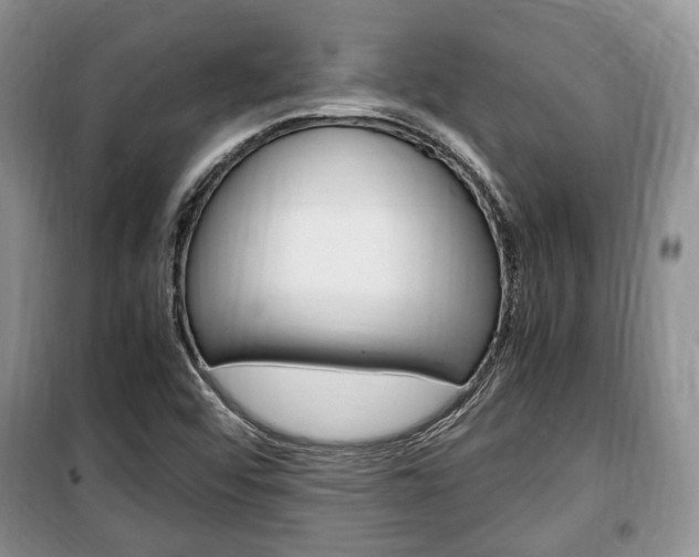 X0000100351456200806060749