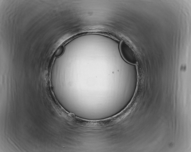 X0000100351457200806060749