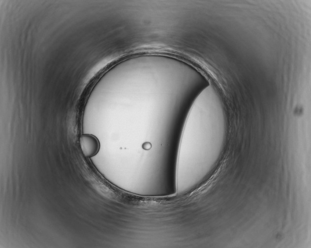 X0000100351458200806060749