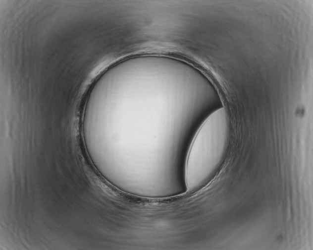 X0000100351459200806060749