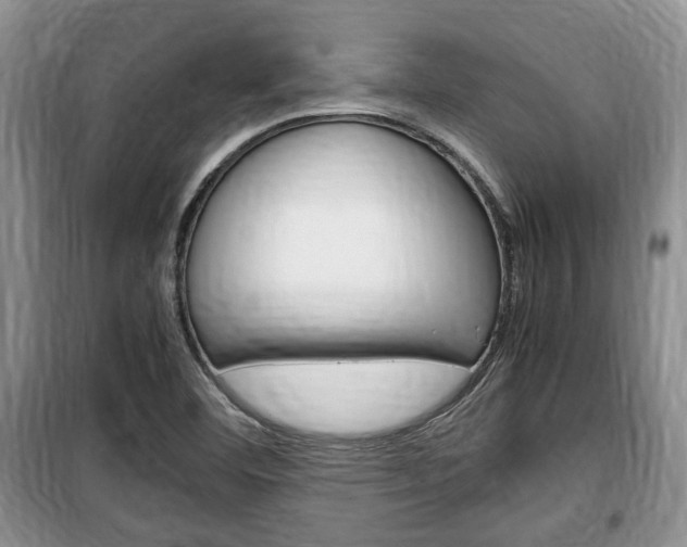X0000100351460200806060749
