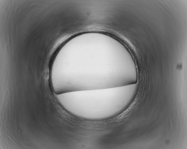 X0000100351461200806060749