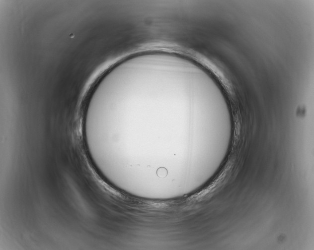 X0000100351462200806060749
