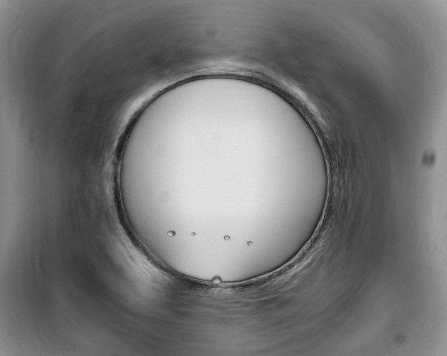 X0000100351463200806060749