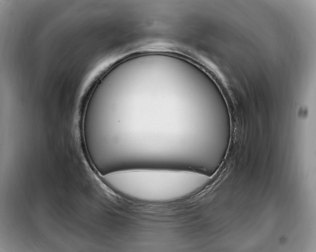 X0000100351464200806060749