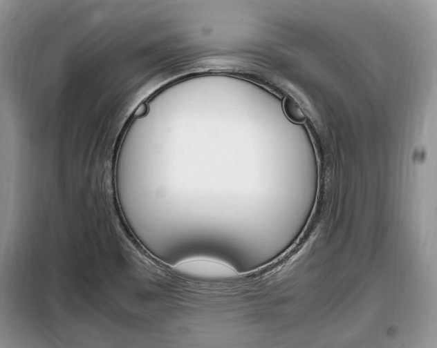 X0000100351465200806060749