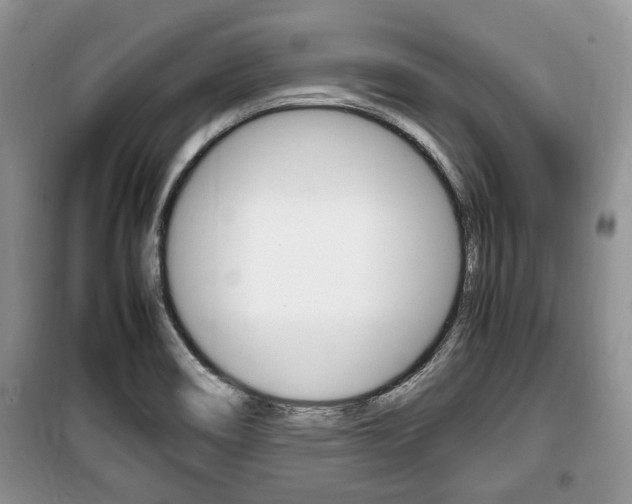 X0000100351466200806060749