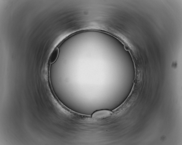 X0000100351468200806060749