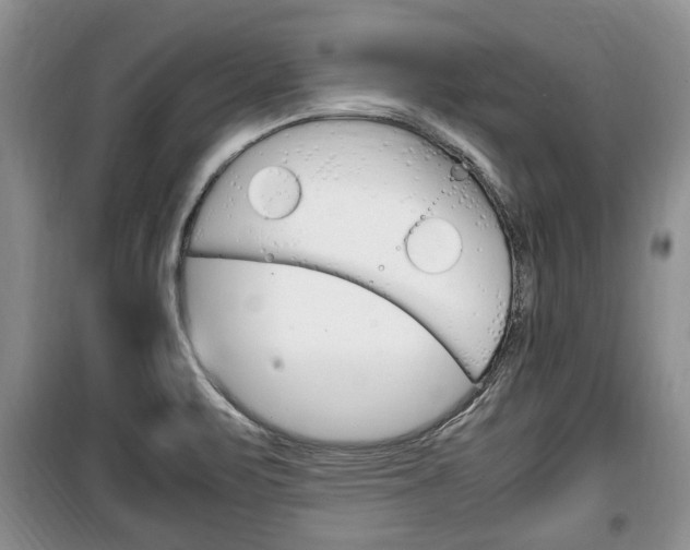 X0000100351471200806060749