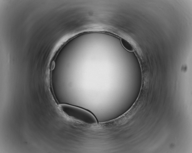 X0000100351472200806060749