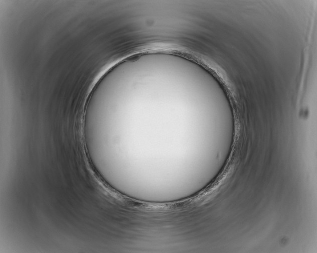 X0000100351473200806060749