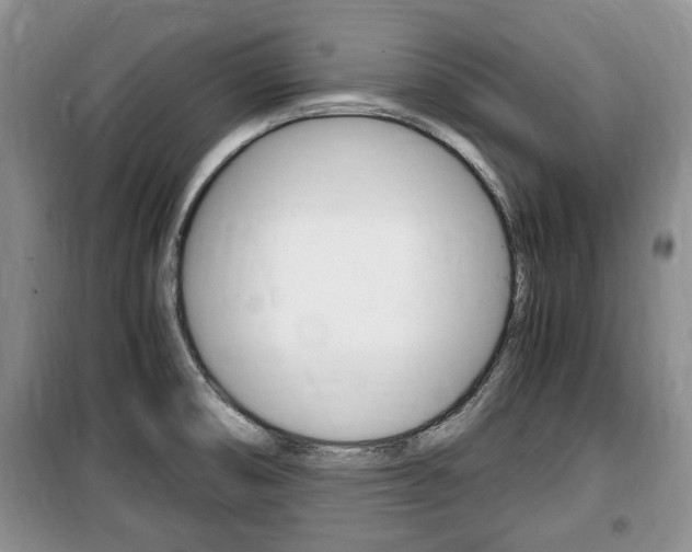 X0000100351474200806060749
