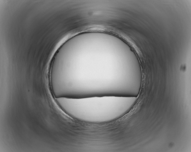 X0000100351475200806060749
