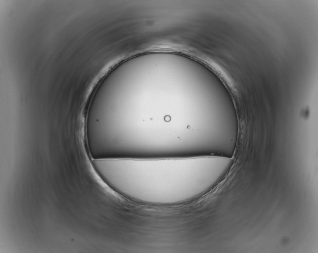 X0000100351476200806060749