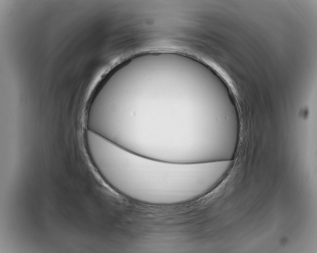 X0000100351477200806060749