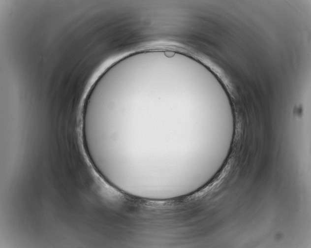 X0000100351478200806060749