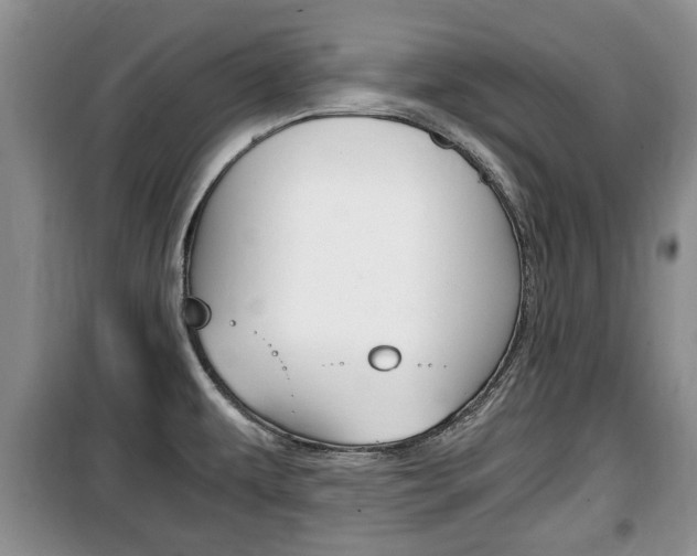 X0000100351479200806060749
