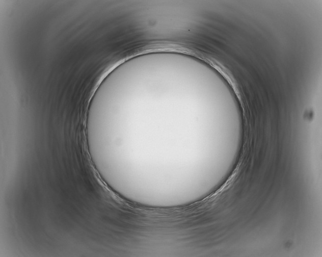 X0000100351481200806060749