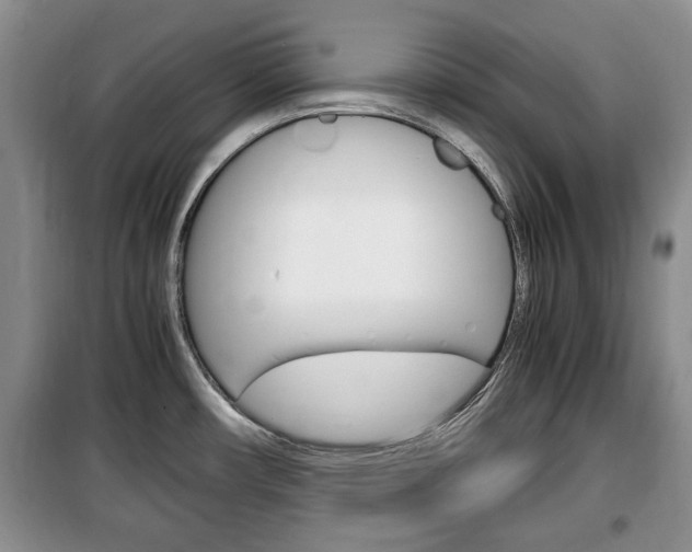 X0000100351482200806060749