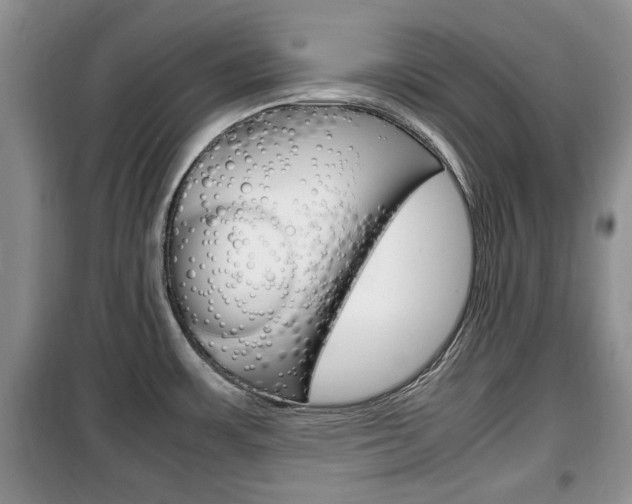 X0000100351483200806060749