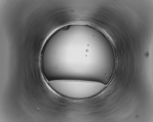 X0000100351484200806060749