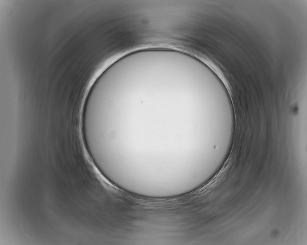 X0000100351485200806060749