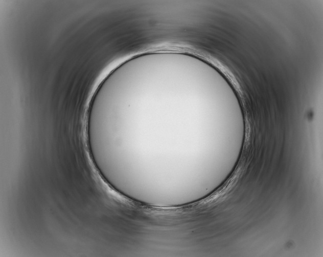 X0000100351486200806060748