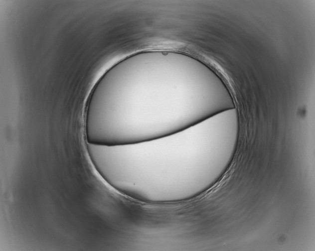 X0000100351487200806060748