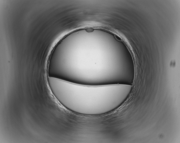 X0000100351488200806060748