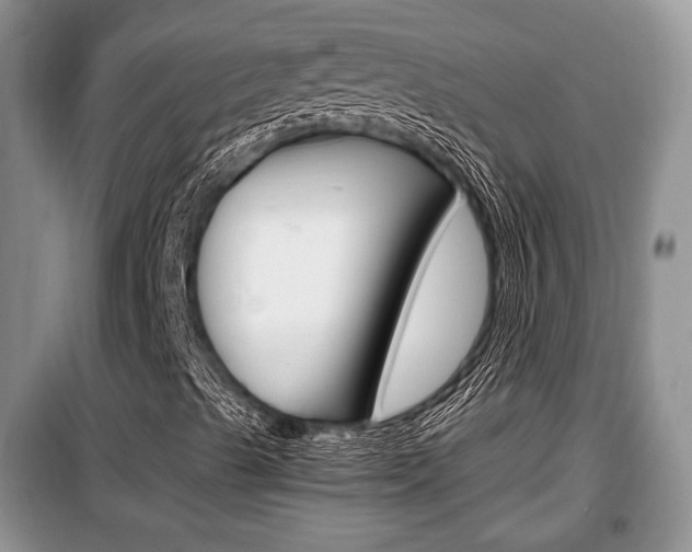X0000100351489200806060748