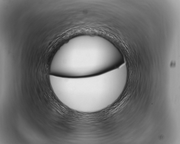 X0000100351490200806060748