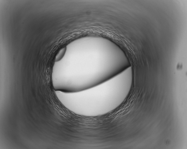 X0000100351491200806060748