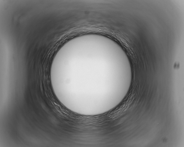 X0000100351492200806060748