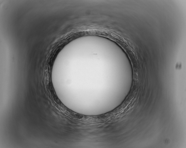 X0000100351493200806060748