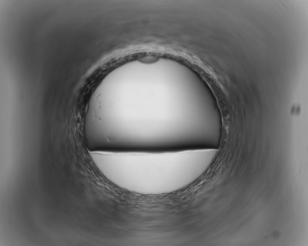 X0000100351495200806060748