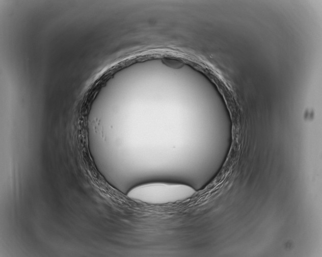 X0000100351496200806060748