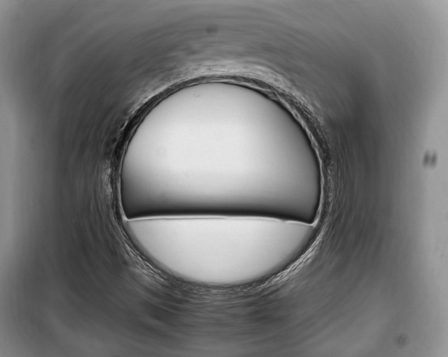 X0000100351497200806060748