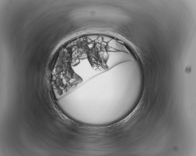 X0000100351498200806060748