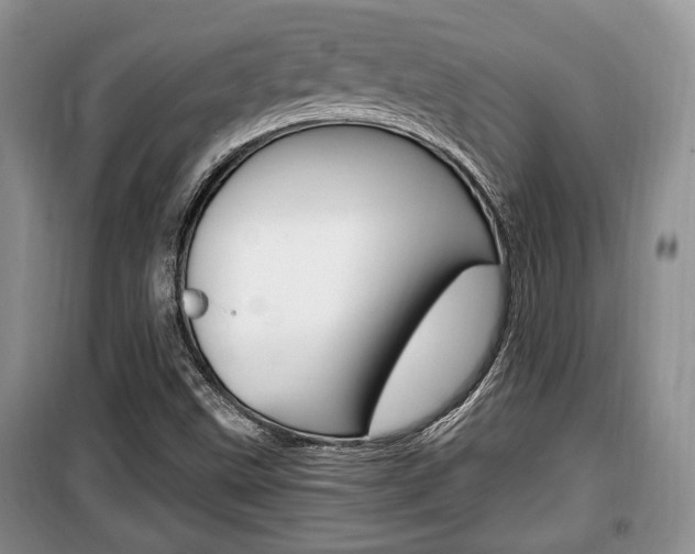 X0000100351499200806060748