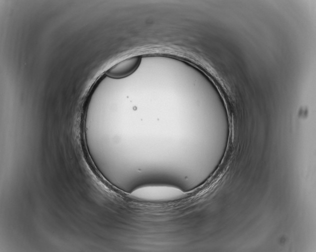 X0000100351500200806060748