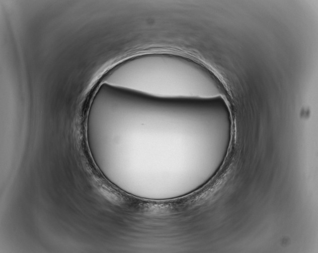 X0000100351501200806060748