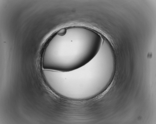 X0000100351502200806060748
