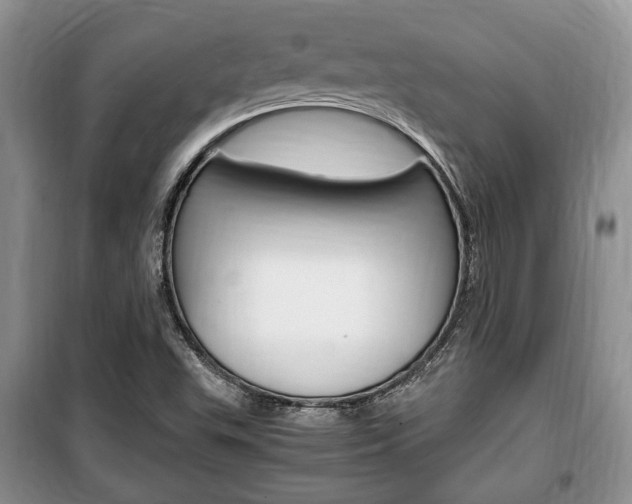 X0000100351503200806060748