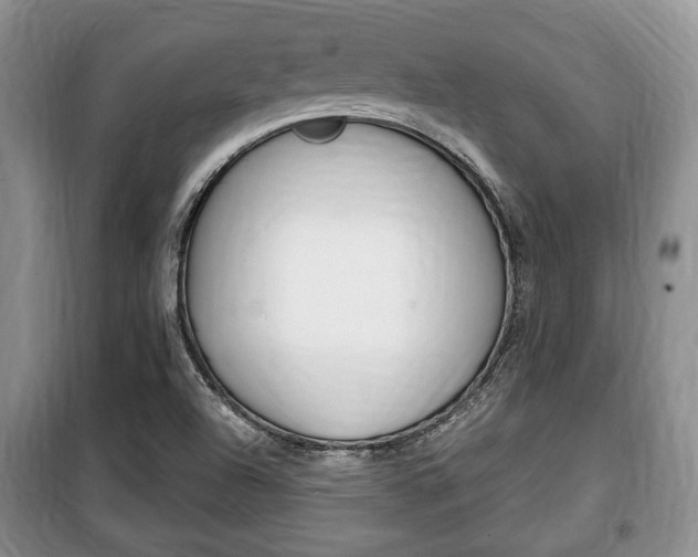 X0000100351504200806060748