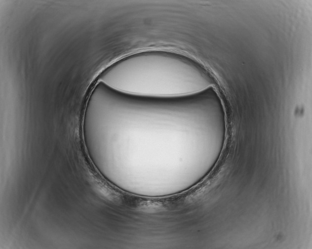 X0000100351505200806060748