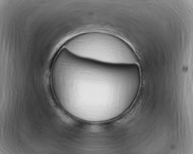 X0000100351507200806060748