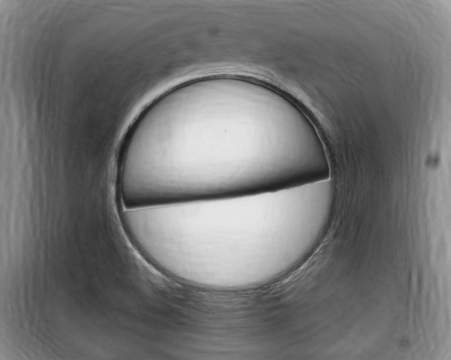 X0000100351508200806060748